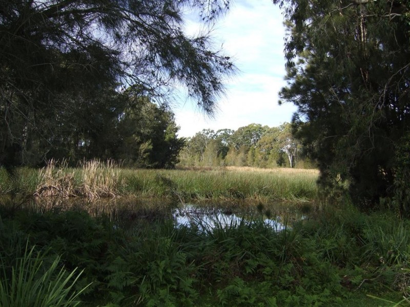 7 Beatrice Place, Long Beach NSW 2536