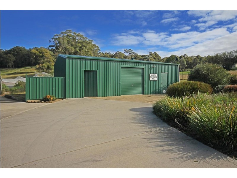 31 McBride Close, Malua Bay NSW 2536