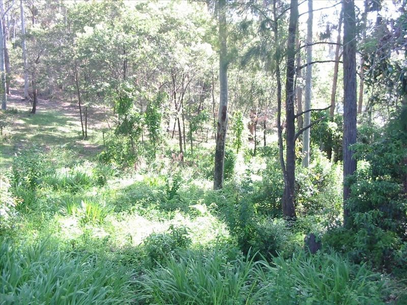 22 Dominic Drive, Batehaven NSW 2536