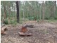 Lot 11 Princes Highway, North Batemans Bay NSW 2536