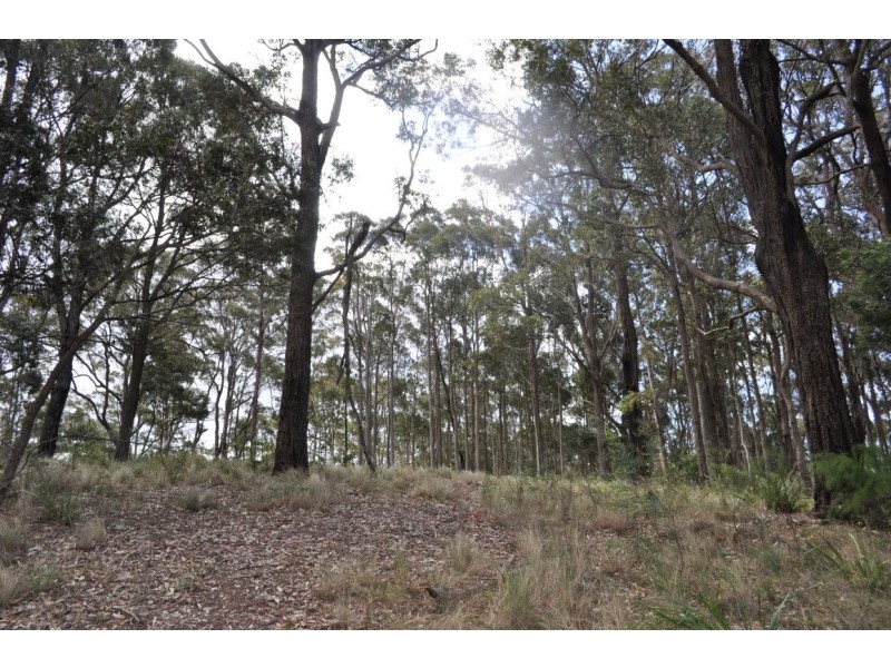Lot 1/520 Dunns Creek Road, Malua Bay NSW 2536