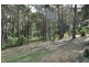 29 Carramar Drive, Lilli Pilli NSW 2536
