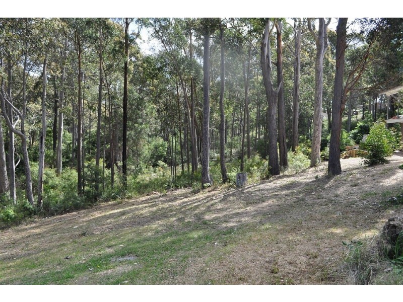 29 Carramar Drive, Lilli Pilli NSW 2536