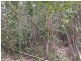 20 Oakwood Way, Catalina NSW 2536
