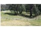 35 Old Bolaro Road, Nelligen NSW 2536