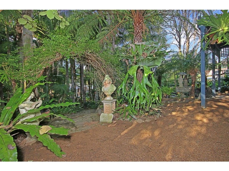 41 Calga Crescent, Catalina NSW 2536