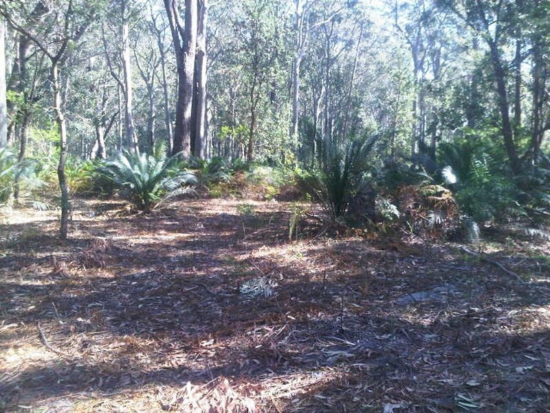 Lot 5 Fern Drive, South Durras NSW 2536