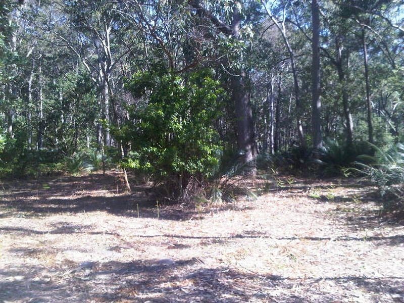 Lot 5 Fern Drive, South Durras NSW 2536