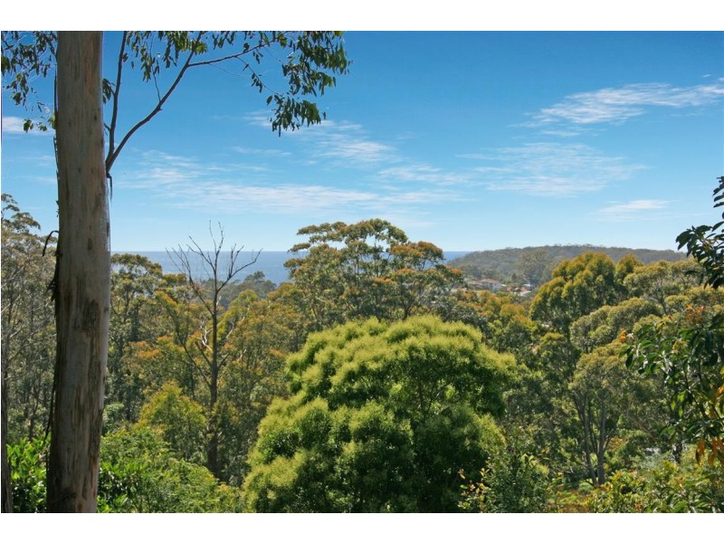 8 Figtree Close, Surf Beach NSW 2536