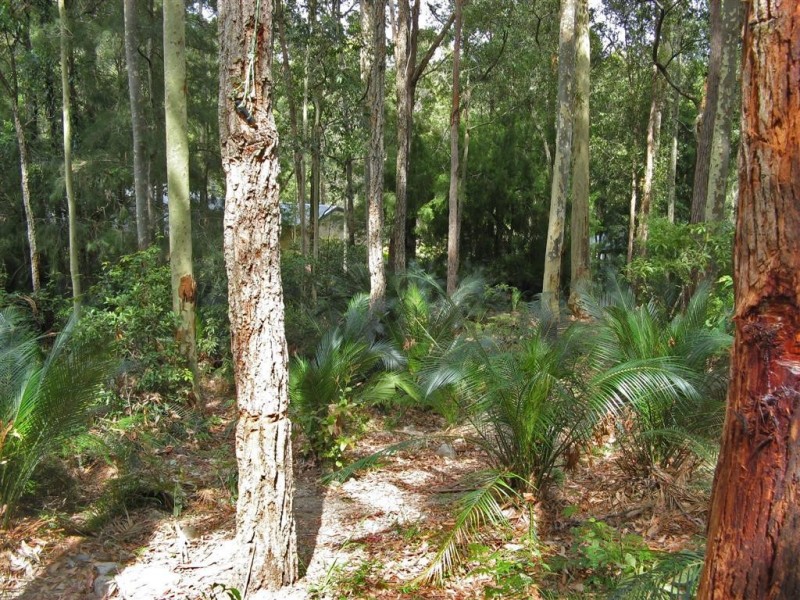 23 Murramarang Crescent, South Durras NSW 2536