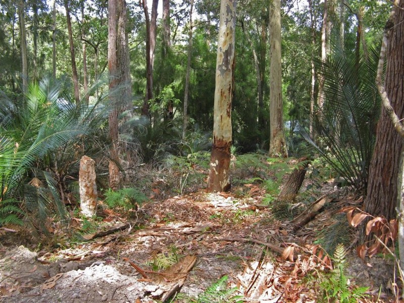 23 Murramarang Crescent, South Durras NSW 2536