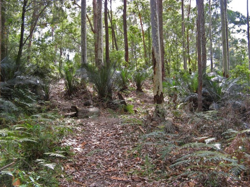 23 Murramarang Crescent, South Durras NSW 2536