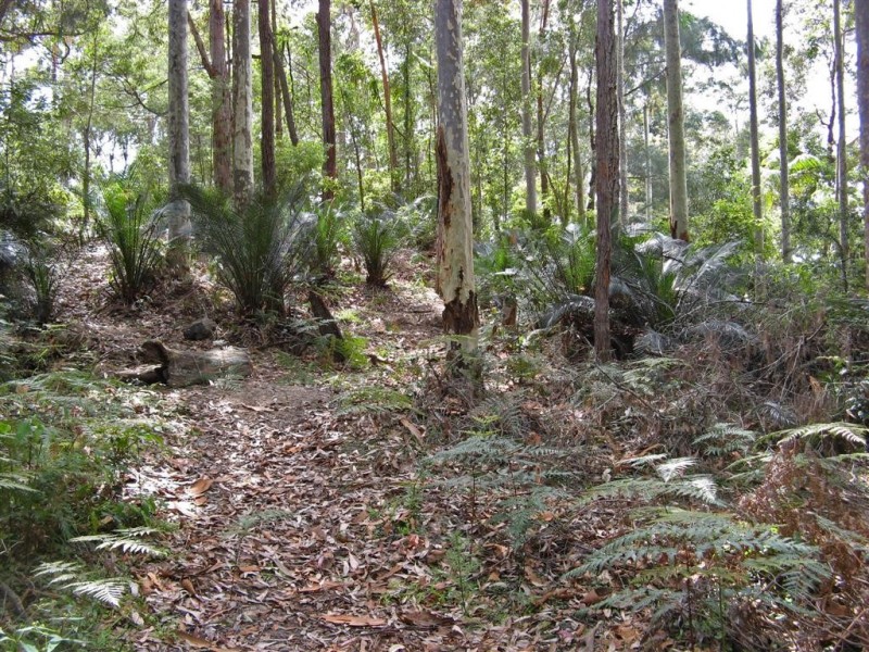 23 Murramarang Crescent, South Durras NSW 2536