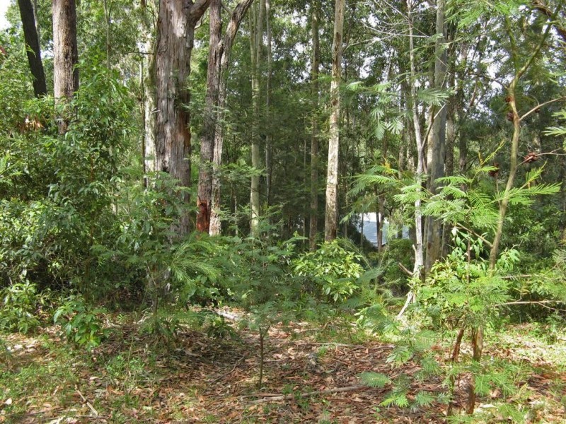 23 Murramarang Crescent, South Durras NSW 2536