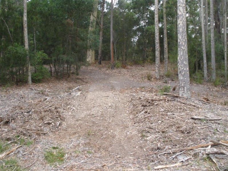 Lot 6 Grandfathers Gully Road, Lilli Pilli NSW 2536