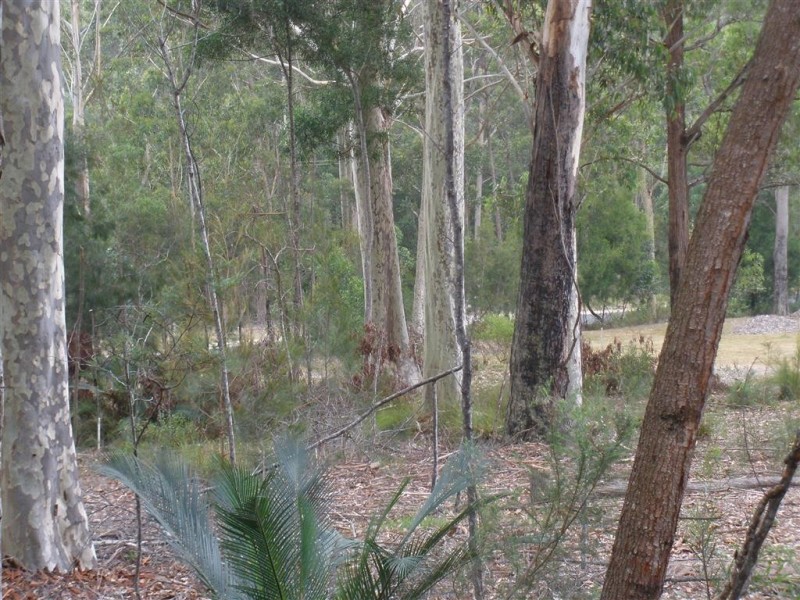 Lot 6 Grandfathers Gully Road, Lilli Pilli NSW 2536