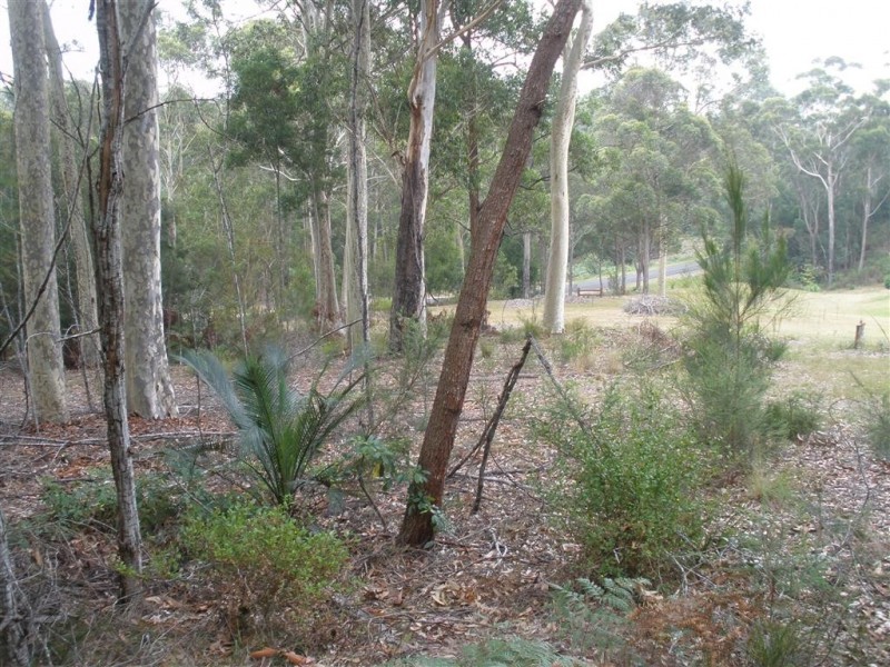 Lot 6 Grandfathers Gully Road, Lilli Pilli NSW 2536