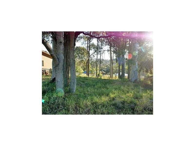 54 Heron Road, Catalina NSW 2536