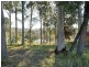 54 Heron Road, Catalina NSW 2536