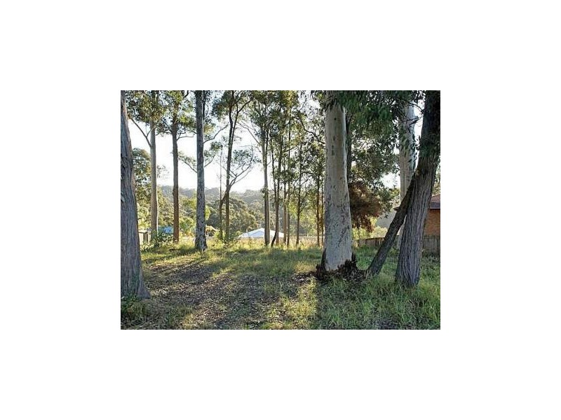 54 Heron Road, Catalina NSW 2536