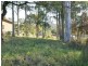 54 Heron Road, Catalina NSW 2536