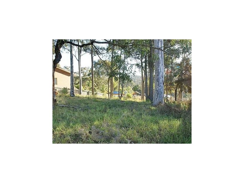 54 Heron Road, Catalina NSW 2536