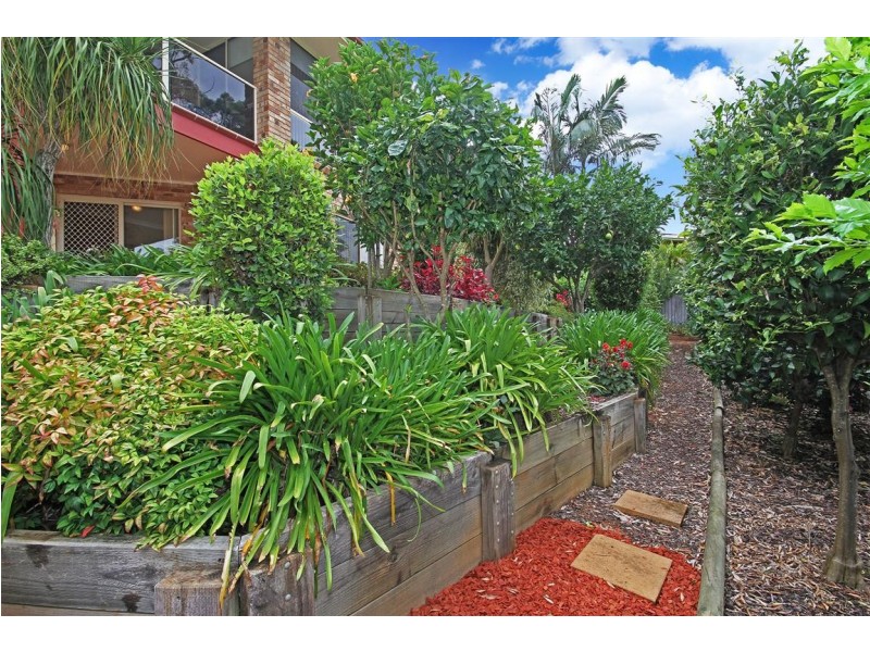 26 Yarrabee Drive, Catalina NSW 2536