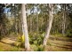 7 Rotary Drive, Batemans Bay NSW 2536