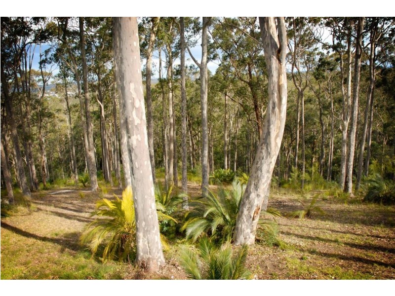 7 Rotary Drive, Batemans Bay NSW 2536