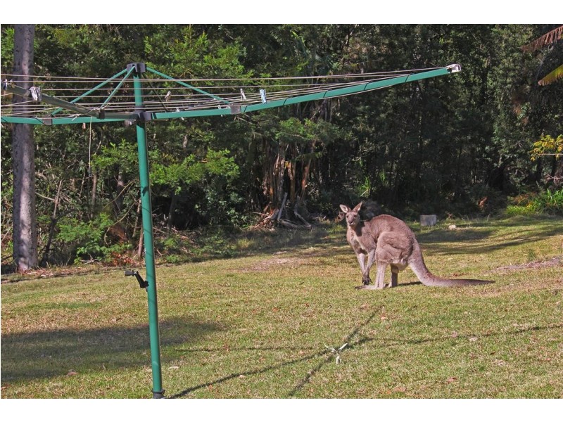 6 Longbeach Road, Long Beach NSW 2536