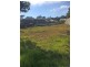 37 Canning Crescent, Sunshine Bay NSW 2536