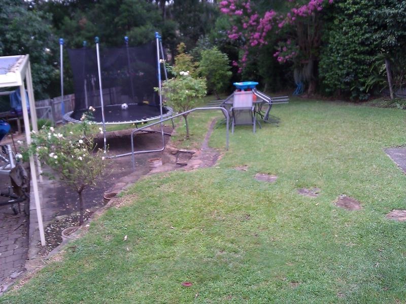 54 Calga Crescent, Catalina NSW 2536