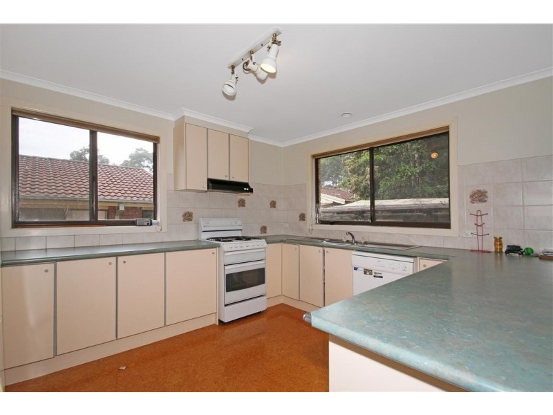 56 Ocean Avenue, Surf Beach NSW 2536