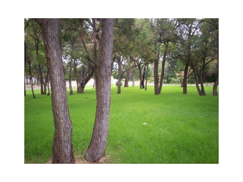 11 Leasham Court, Medina WA 6167