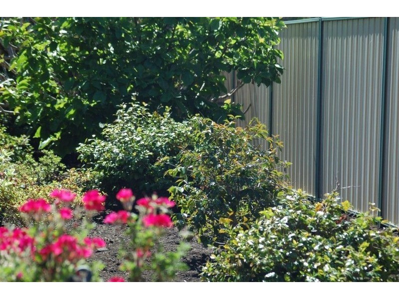 6 Roesner Rd, Harvey WA 6220