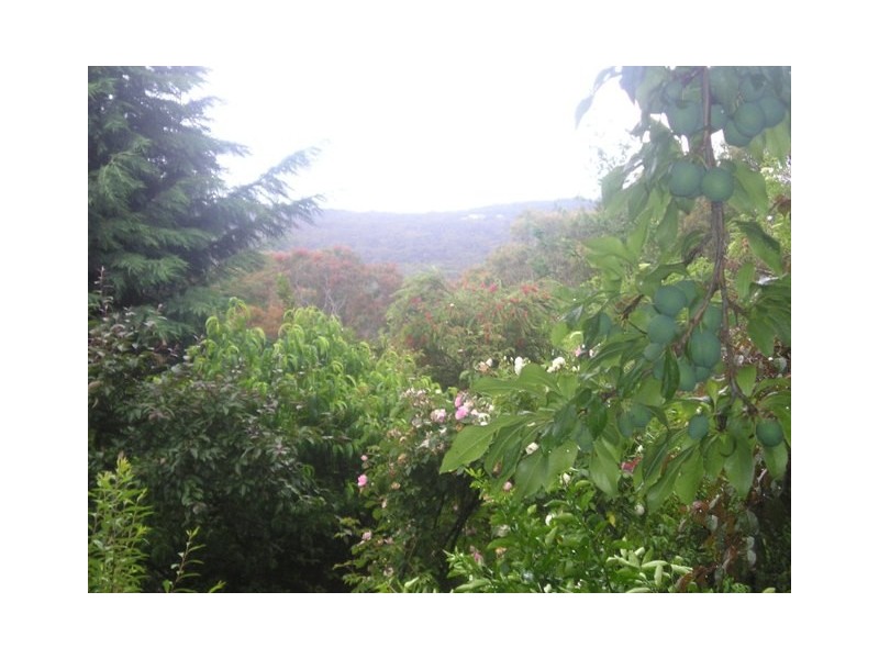 53 Clearview Parade, Hazelbrook NSW 2779