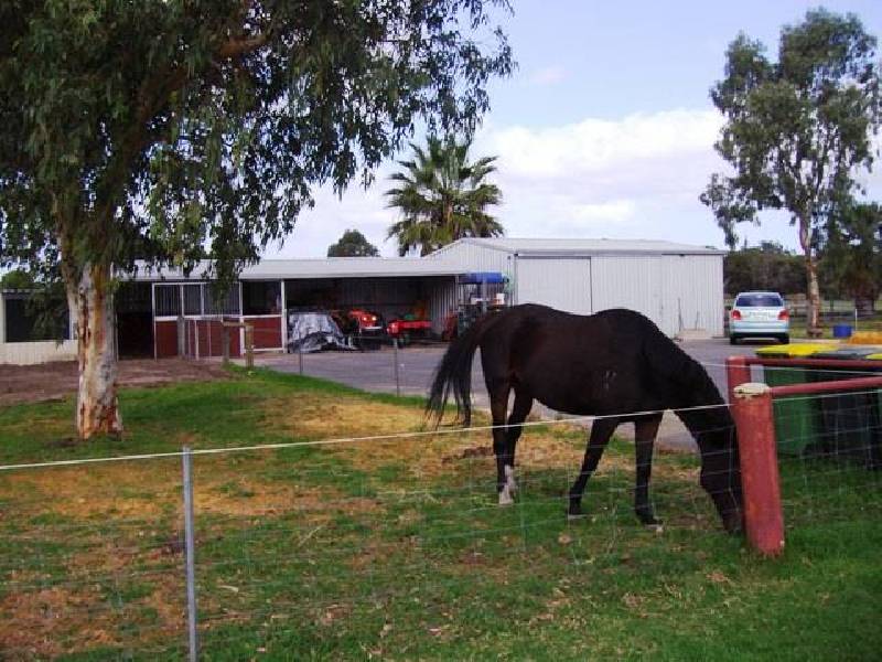 10 Cobby Lane, Baldivis WA 6171