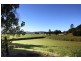 169 Murwillumbah Street, Murwillumbah NSW 2484