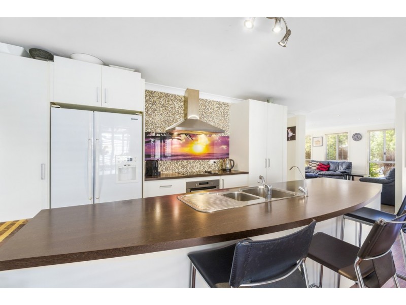 11 Brushtail Court, Pottsville NSW 2489