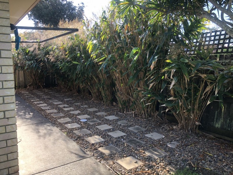 5 Pitta Court, Kingscliff NSW 2487