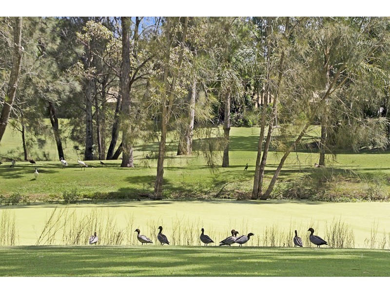 502 / 22 Kirkwood Road, Tweed Heads South NSW 2486