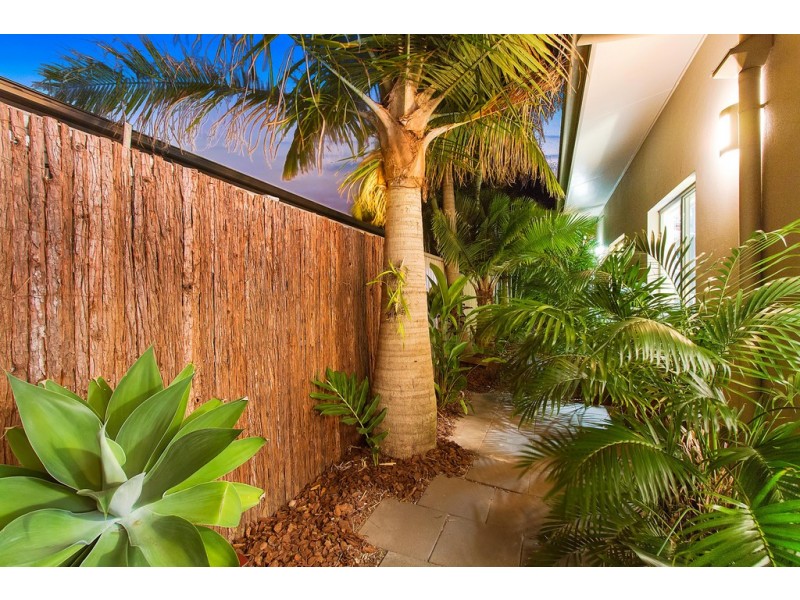 11 Moonee Street, Pottsville NSW 2489