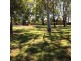11 Pacific Drive, Banora Point NSW 2486