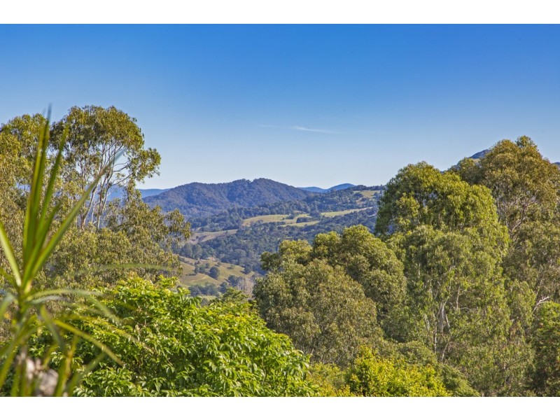 1 Fir Street, Bilambil Heights NSW 2486