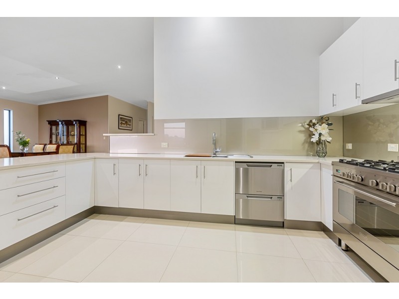 16 Daintree Close, Banora Point NSW 2486