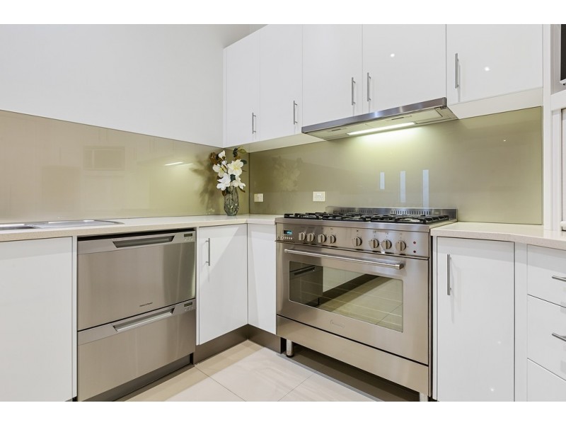 16 Daintree Close, Banora Point NSW 2486