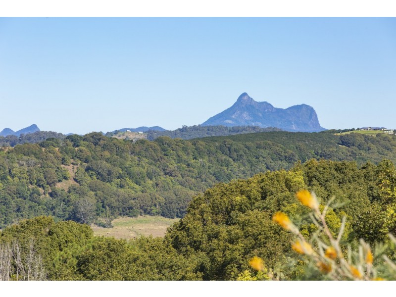 14 Fir Street, Bilambil Heights NSW 2486