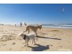 12 Kallaroo Circuit, Ocean Shores NSW 2483