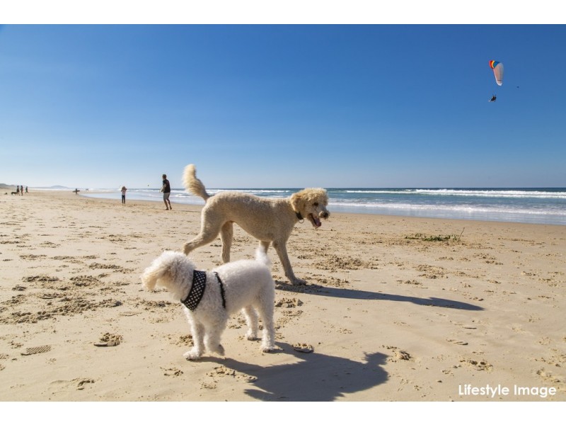 12 Kallaroo Circuit, Ocean Shores NSW 2483