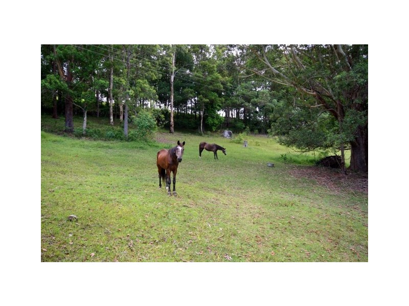 521 Round Mountain Rd, Round Mountain NSW 2484